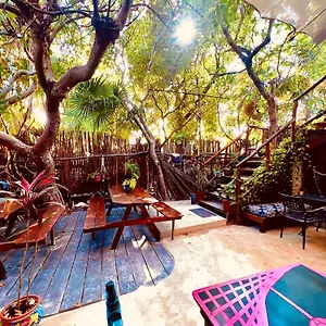 https://holbox-hostal.quintano-roohotels.com